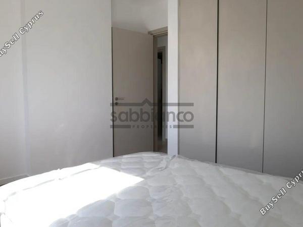 3 bedroom apartment for rent agios dometios nicosia 8749064 image 16471484