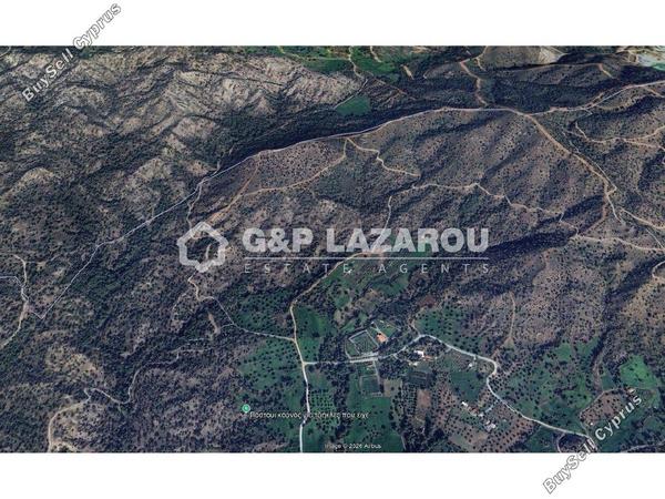 land for sale delikipos larnaca 8112064 image 13629166