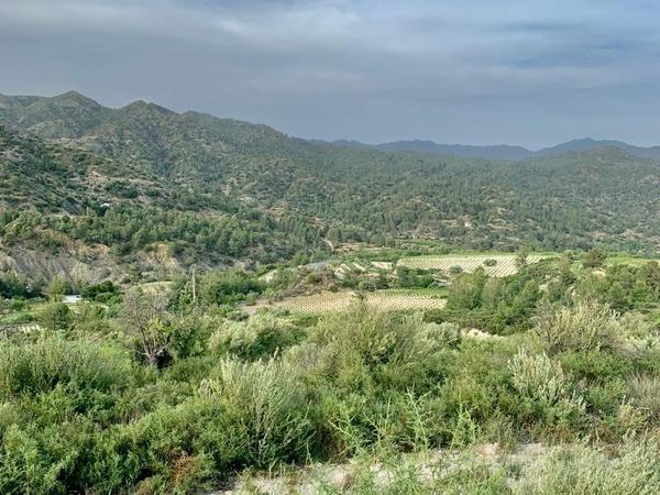 plot for sale trimiklini limassol 1439064 image 15167487