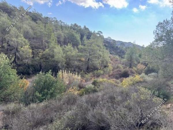 land for sale kato lefkara larnaca 957164 image 17253463