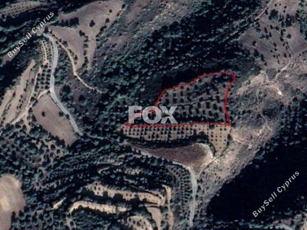 land for sale loukrounou paphos 1159164 image 5518909