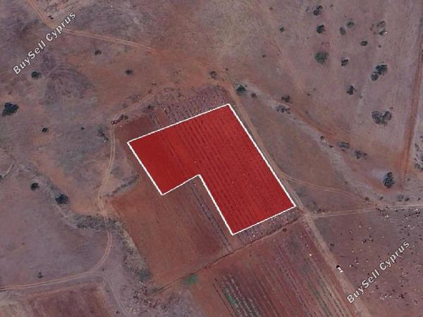 land for sale peristerona lefkosias nicosia 8716164 image 16294641