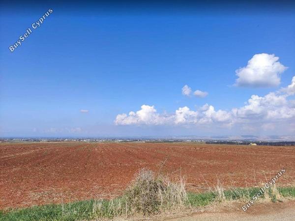 land for sale peristerona lefkosias nicosia 8716164 image 16294642