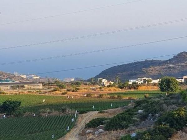 land for sale agios tychonas limassol 1852264 image 7604079