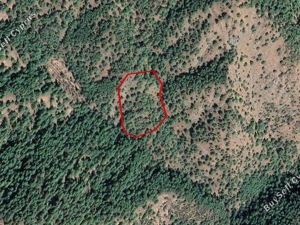 land for sale pigenia nicosia 966364 image 12843171