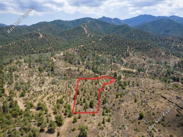 plot for sale xyliatos nicosia 7871364 image 15884485