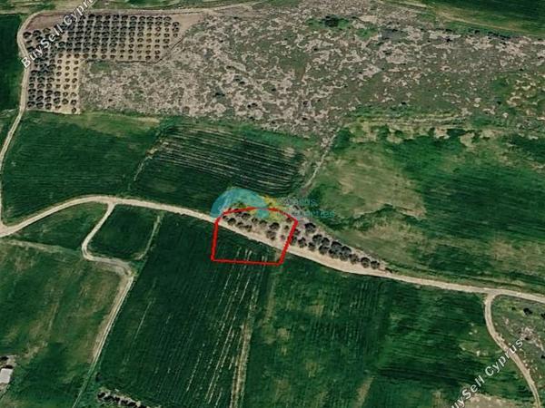land for sale akaki nicosia 8680464 image 16079874
