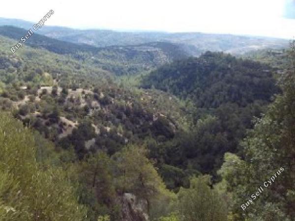 land for sale amargeti paphos 1323464 image 17343310
