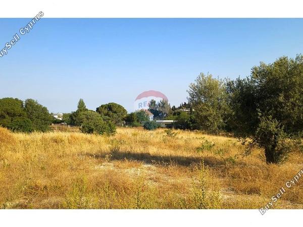 land for sale pachna limassol 7508464 image 17353455