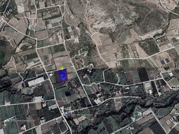 plot for sale kissonerga paphos 8237464 image 14229218