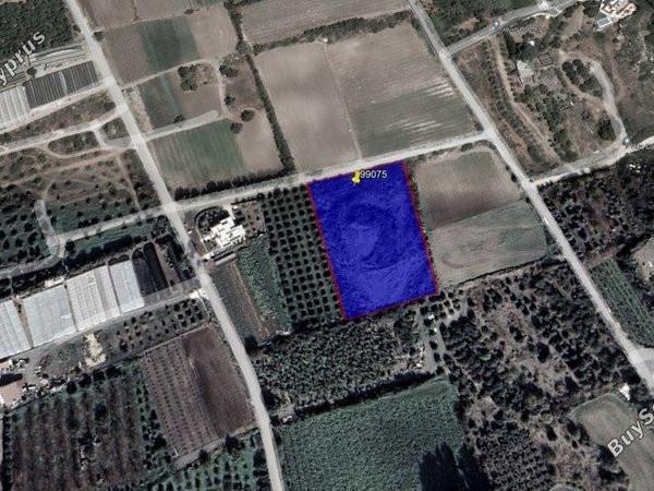 plot for sale kissonerga paphos 8237464 image 14229219