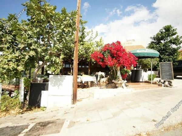 studio restaurant for sale tala paphos 7756464 image 10325793
