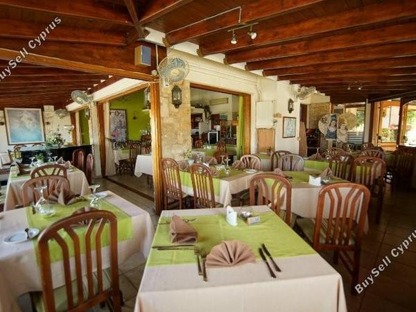studio restaurant for sale tala paphos 7756464 image 10325802