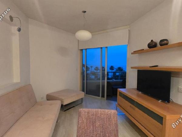 1 bedroom apartment for rent potamos germasogeias limassol 8675564 image 16332499