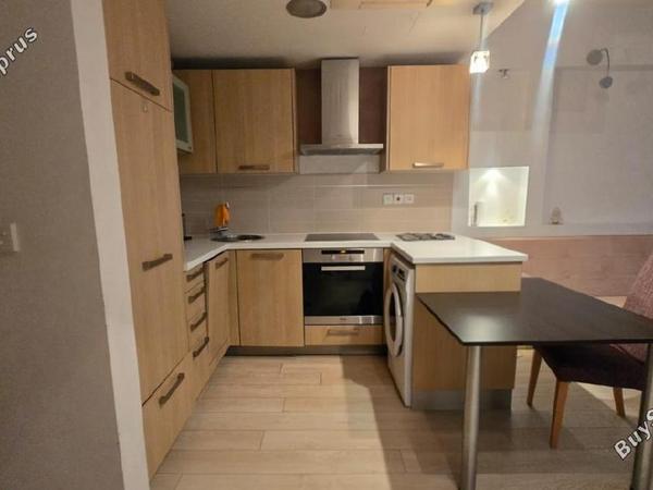1 bedroom apartment for rent potamos germasogeias limassol 8675564 image 16332501