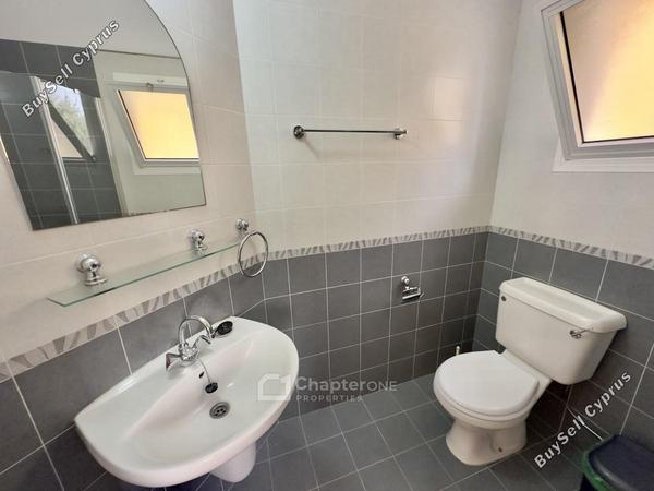 2 bedroom apartment for rent kato paphos universal paphos 8560564 image 15830573