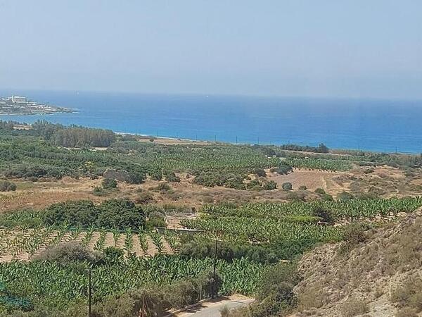3 bedroom detached house for sale coral bay paphos 1202564 image 2272772
