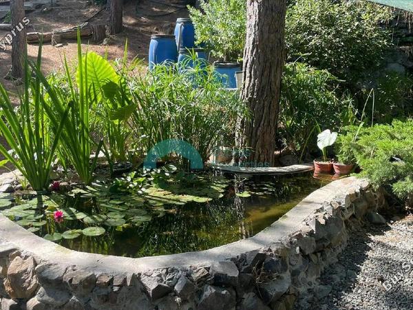3 bedroom detached house for sale kapedes nicosia 7703564 image 10026683