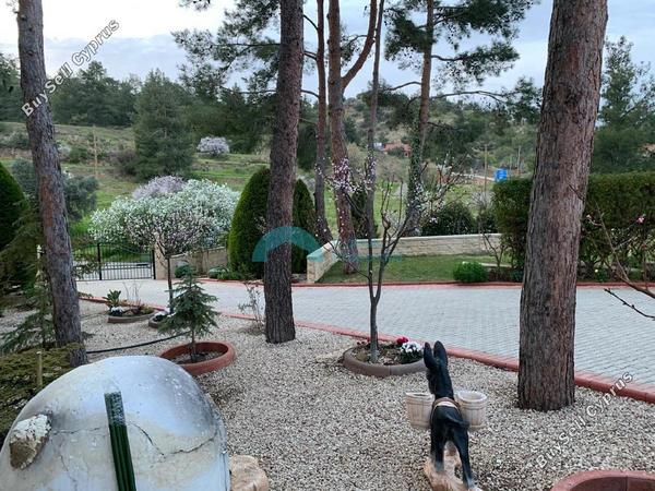 3 bedroom detached house for sale kapedes nicosia 7703564 image 10026684