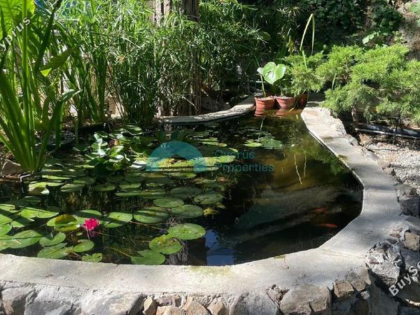 3 bedroom detached house for sale kapedes nicosia 7703564 image 10026700