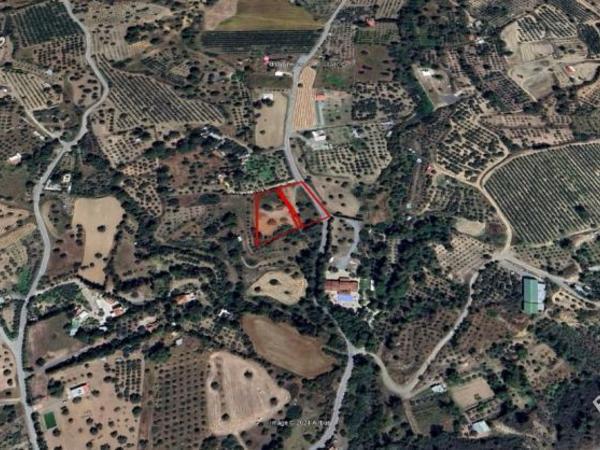 land for sale anglisides larnaca 1284564 image 5249811