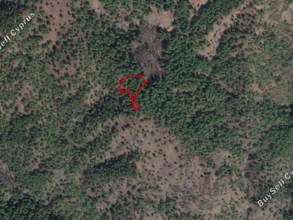 land for sale pigenia nicosia 829564 image 15664037