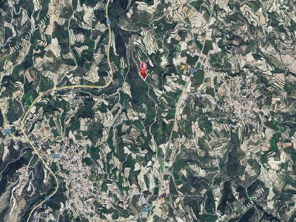 land for sale tsada paphos 1298564 image 15599434