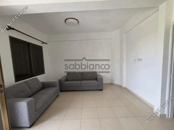 2 bedroom detached house for rent verengaria limassol limassol 8758664 image 16527175