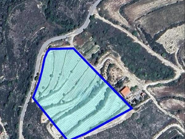 land for sale agios ambrosios limassol 1911664 image 7391868