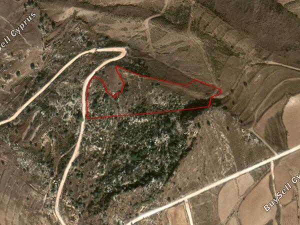 land for sale arodes paphos 1313664 image 2408860