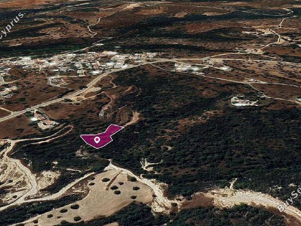 land for sale neo chorio paphos 1897664 image 14207248
