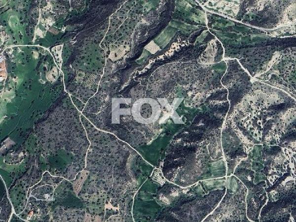 land for sale pentakomo limassol 1761664 image 5700792