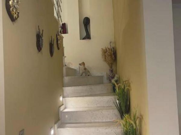 4 bedroom detached house for sale agios dometios nicosia 8791764 image 16715736