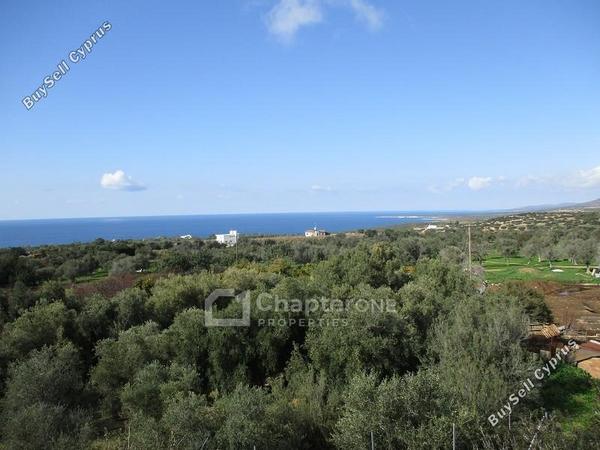 4 bedroom detached house for sale peyia paphos 8360764 image 14550456