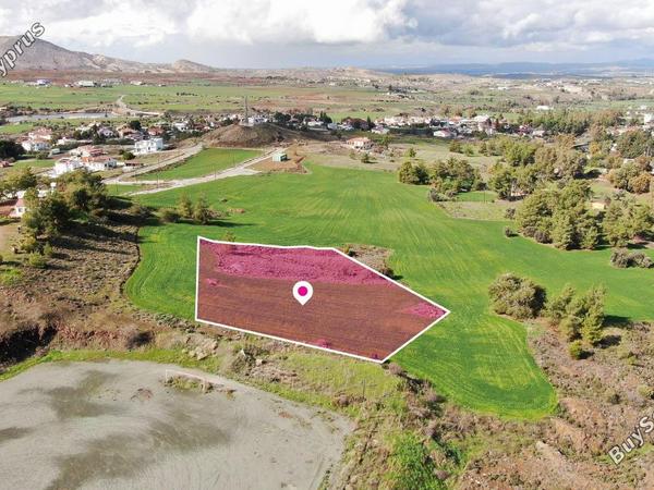 land for sale klirou nicosia 1293764 image 2808619