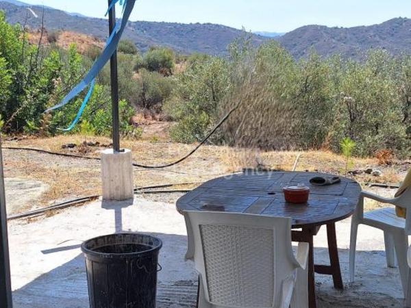 land for sale lageia larnaca 8771764 image 16580219
