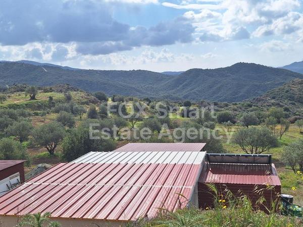 land for sale lageia larnaca 8771764 image 16580222