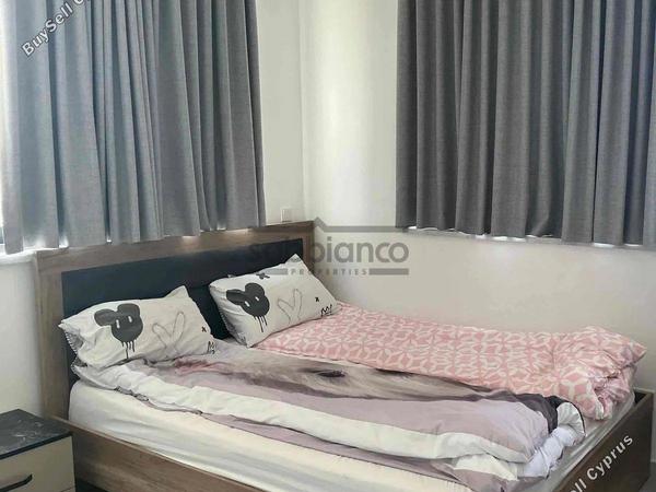 2 bedroom apartment for rent livadia larnacas larnaca 8739864 image 16375784