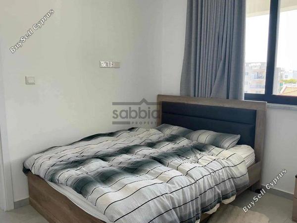 2 bedroom apartment for rent livadia larnacas larnaca 8739864 image 16375788