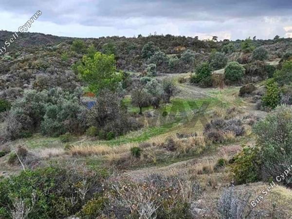 land for sale asgata limassol 8758864 image 16529637