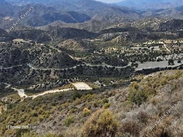 land for sale ora larnaca 945864 image 17187558