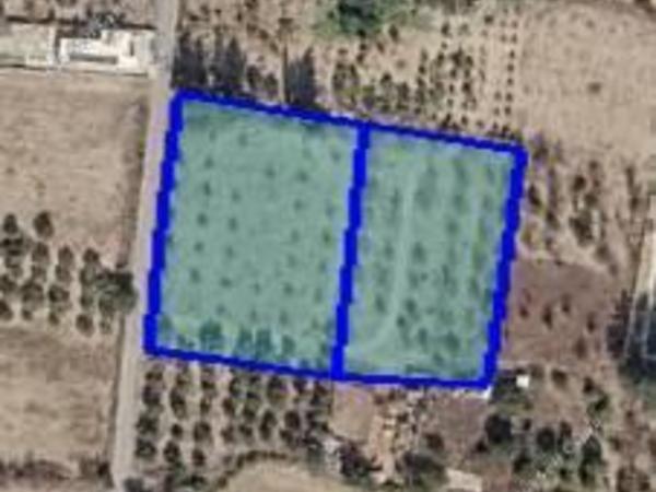 plot for sale fasoula lemesou limassol 8746864 image 16445700