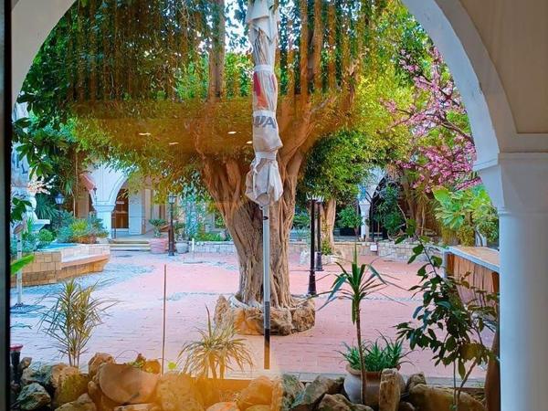 2 bedroom apartment for sale kato paphos paphos 8441964 image 15031337