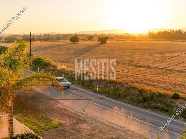 3 bedroom detached house for sale zygi larnaca 975964 image 13563939