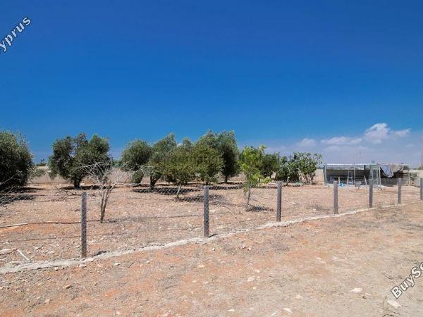 4 bedroom detached house for sale avgorou famagusta 7649964 image 16026460