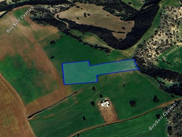 land for sale agios theodoros larnacas larnaca 1759964 image 4843582