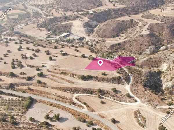 land for sale agios theodoros larnacas larnaca 8254964 image 13899325