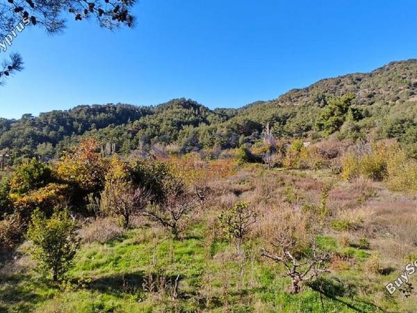 land for sale moniatis limassol 1736964 image 13293625