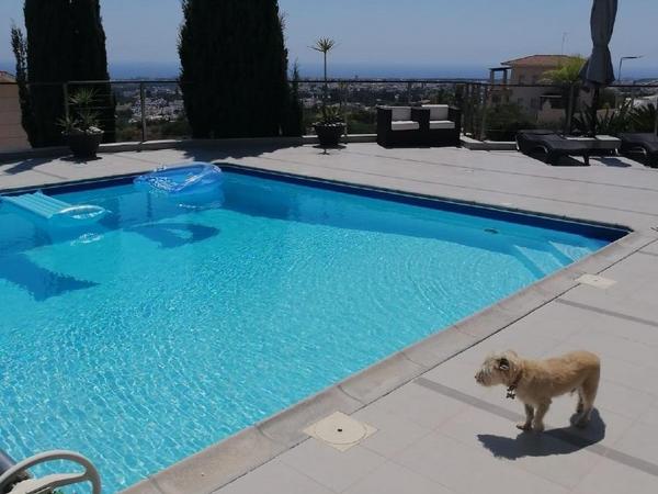 3 bedroom detached house for sale geroskipou paphos 1684074 image 4399895