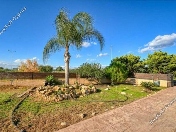 3 bedroom detached house for sale paralimni famagusta 1646074 image 4205206